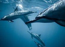 华体会体育内容-2026年浙江将首次举办城市足球联赛